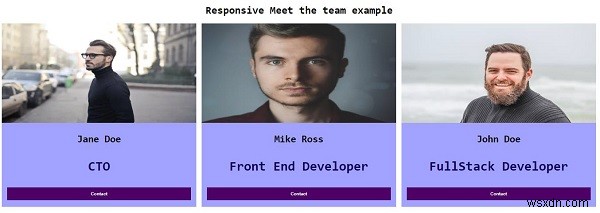 CSS के साथ रिस्पॉन्सिव मीट द टीम पेज कैसे बनाएं? 