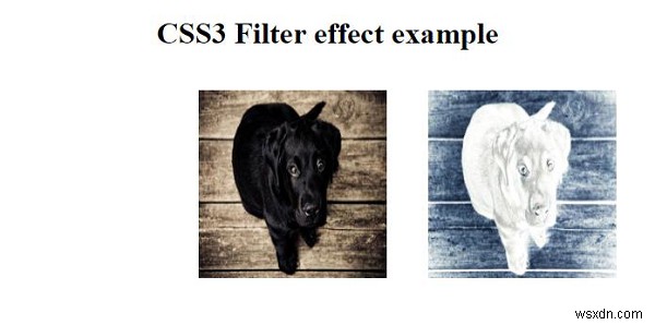 CSS3 फ़िल्टर प्रभाव के साथ कार्य करना 