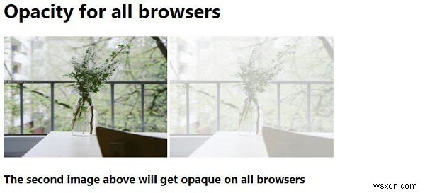 CSS Opacity जो सभी ब्राउज़रों में काम करती है 