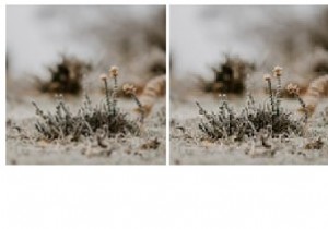 CSS ट्रांसफ़ॉर्म और स्केल लागू करते समय छवि गुणवत्ता बनाए रखें 