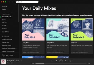 Spotify को डिस्क स्थान बर्बाद होने से कैसे रोकें 