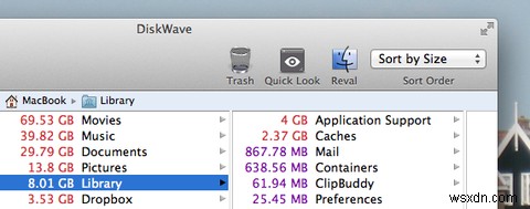 Mac के लिए DiskWave के साथ अवांछित बड़ी फ़ाइलों को धो लें 