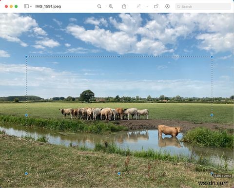 अपने मैक पर एक तस्वीर कैसे क्रॉप करें 