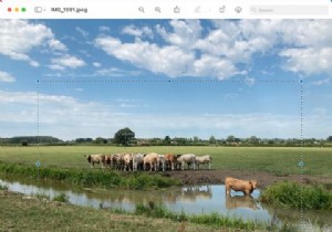 अपने मैक पर एक तस्वीर कैसे क्रॉप करें 