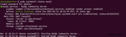 उबंटू पर MySQL कैसे स्थापित और कॉन्फ़िगर करें 