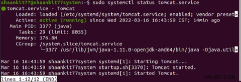 Ubuntu 20.04 पर Apache Tomcat 10 कैसे स्थापित करें? 