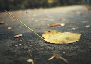 बुग्गी क्या है? Linux डेस्कटॉप वातावरण जो Chromebook की तरह लगता है 