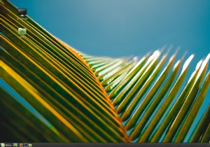 लिनक्स टकसाल के प्यार में पड़ने के 10 कारण 