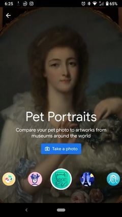 Google के कला और संस्कृति ऐप के साथ अपने पालतू जानवर को प्रसिद्ध कलाकृतियों में खोजें