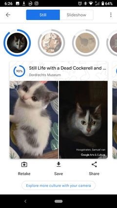 Google के कला और संस्कृति ऐप के साथ अपने पालतू जानवर को प्रसिद्ध कलाकृतियों में खोजें