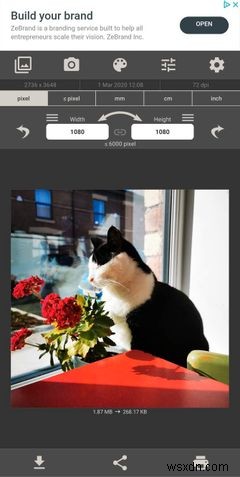छवि का आकार कम करने के लिए 5 सर्वश्रेष्ठ Android ऐप्स 
