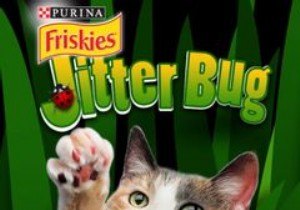 आपके iPad या Android टैबलेट के लिए 7 कैट गेम्स