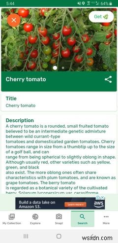 Android और iPhone के लिए 7 उपयोगी बागवानी ऐप्स 