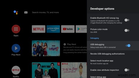 Android TV पर ADB कैसे सेट अप करें और उसका उपयोग कैसे करें 