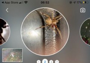 बग और कीड़ों की पहचान के लिए iPhone पर शीर्ष 5 ऐप्स 