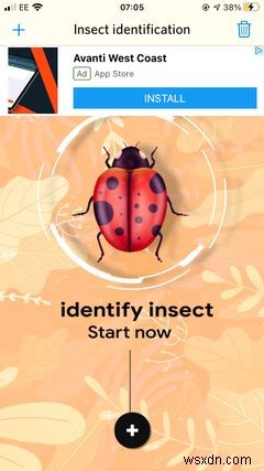 बग और कीड़ों की पहचान के लिए iPhone पर शीर्ष 5 ऐप्स 