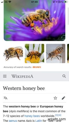 बग और कीड़ों की पहचान के लिए iPhone पर शीर्ष 5 ऐप्स 