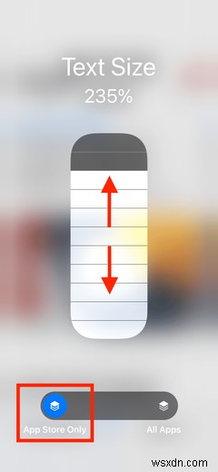 iOS 15 में अलग-अलग ऐप्स के लिए टेक्स्ट साइज कैसे बदलें
