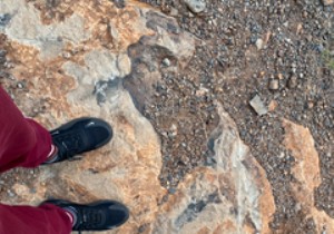 IOS 15 . में अपनी तस्वीरों की तिथि, समय और स्थान को कैसे समायोजित करें 