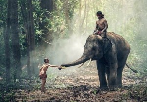 जावा ओपनसीवी लाइब्रेरी का उपयोग करके किसी छवि के रंग रिक्त स्थान को कैसे बदलें? 