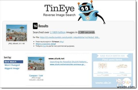 TinEye [क्रोम] का उपयोग करके रिवर्स इमेज सर्च के कुछ और उपयोग देखें 
