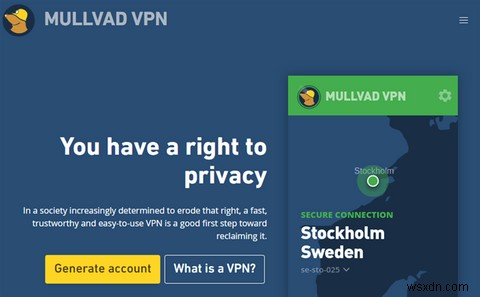 Mullvad VPN Review:कटिंग एज एंड कॉम्प्लेक्स