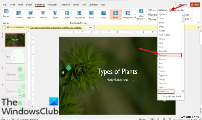 PowerPoint में संक्रमण में ध्वनि प्रभाव कैसे जोड़ें