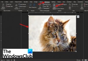 माइक्रोसॉफ्ट वर्ड में कैप्शन कैसे डालें 