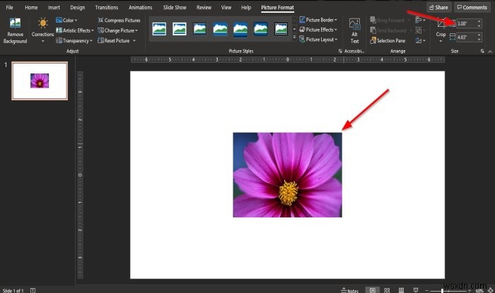 PowerPoint में आकार और स्थिति खोए बिना चित्र कैसे बदलें 