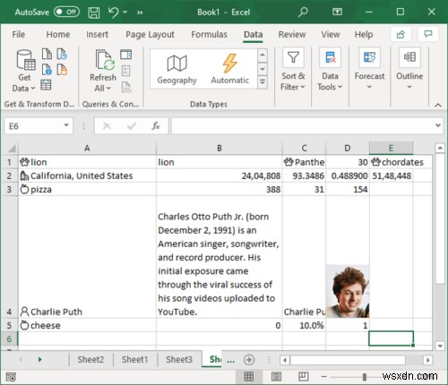 Microsoft Excel में स्वचालित डेटा प्रकार सुविधा का उपयोग कैसे करें 