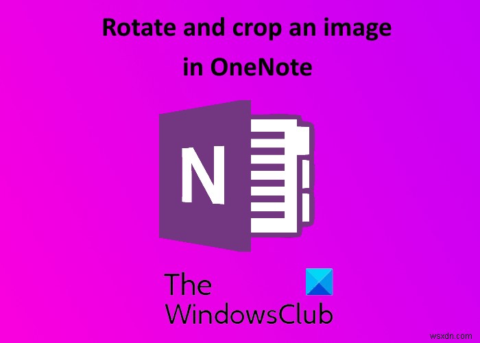 Microsoft OneNote में किसी चित्र को रोटेट और क्रॉप कैसे करें