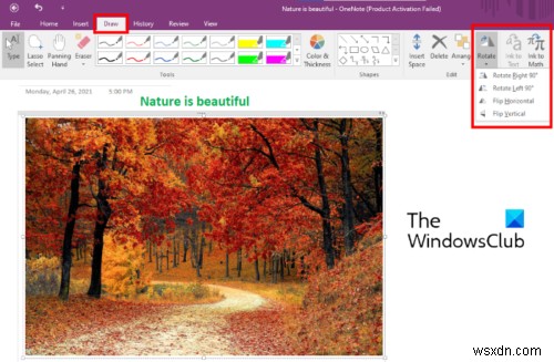 Microsoft OneNote में किसी चित्र को रोटेट और क्रॉप कैसे करें