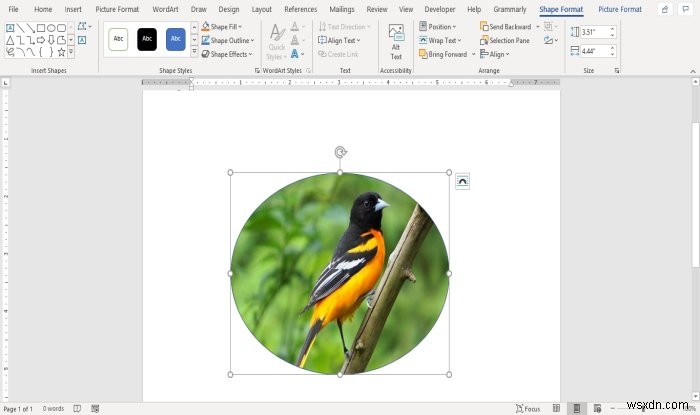 माइक्रोसॉफ्ट वर्ड में किसी चित्र को आकृति में कैसे सम्मिलित करें 