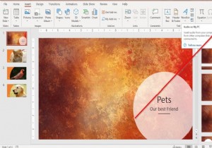 PowerPoint स्लाइड में संगीत कैसे जोड़ें 