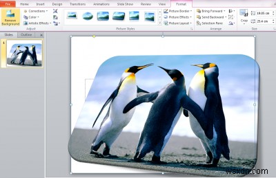 Microsoft PowerPoint का उपयोग करके किसी छवि की पृष्ठभूमि कैसे निकालें 