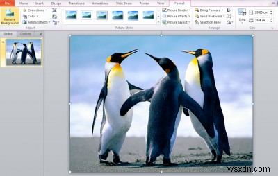 Microsoft PowerPoint का उपयोग करके किसी छवि की पृष्ठभूमि कैसे निकालें 