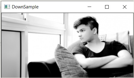 OpenCV का उपयोग करके एक छवि का डाउनसैंपलिंग 