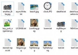 पायथन में जंक फाइल ऑर्गनाइज़र? 