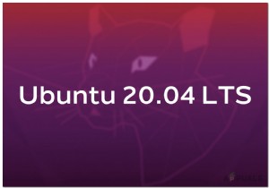 [फिक्स] उबंटू 20.04 एलटीएस कीबोर्ड और माउस काम नहीं कर रहा है 