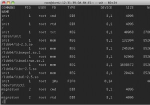 लिनक्स में खुली फाइलों, सॉकेट्स और पाइपों की सूची कैसे प्राप्त करें