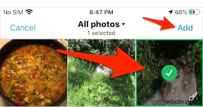 ट्विटर पर एक एनिमेटेड GIF के रूप में iOS लाइव फोटो को कैसे ट्वीट करें