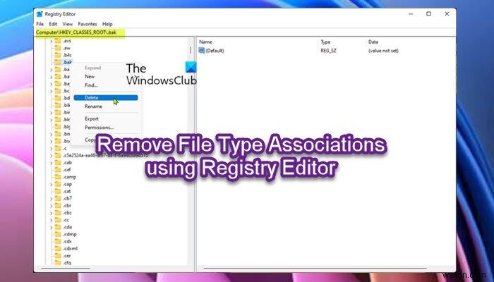 Windows 11/10 में रजिस्ट्री संपादक का उपयोग करके फ़ाइल प्रकार संघों को कैसे निकालें 
