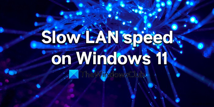 Windows 11/10 कंप्यूटर पर धीमी LAN गति को ठीक करें 