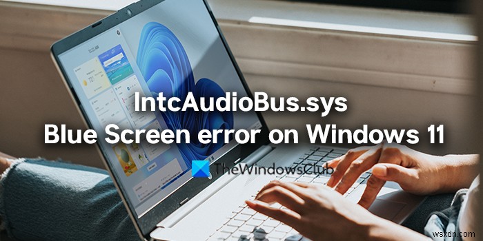 Windows 11 पर IntcAudioBus.sys ब्लू स्क्रीन त्रुटि को ठीक करें 