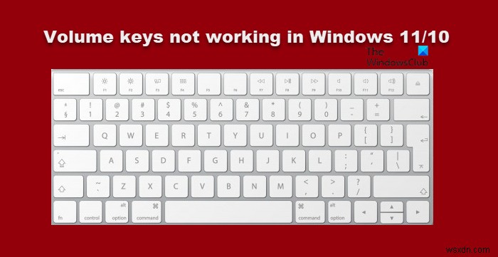 Windows 11/10 . में कीबोर्ड वॉल्यूम कुंजियाँ काम नहीं कर रही हैं 