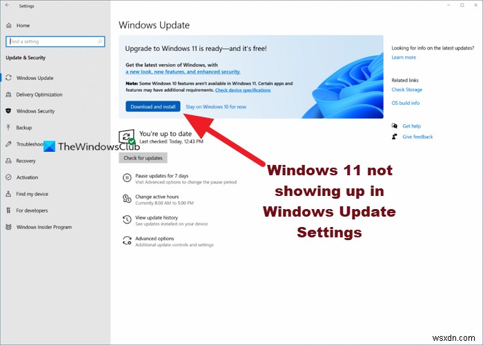 विंडोज 11 विंडोज अपडेट सेटिंग्स में दिखाई नहीं दे रहा है 