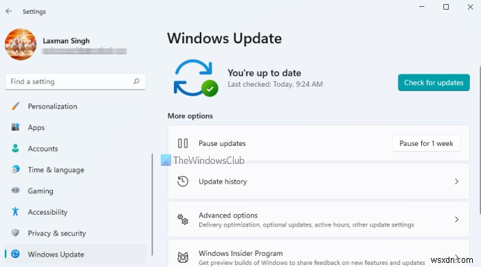 Windows 11 में Windows Update सेटिंग्स