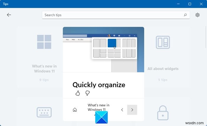 विंडोज 11 को एक्सप्लोर करने के लिए नए टिप्स ऐप का उपयोग कैसे करें 