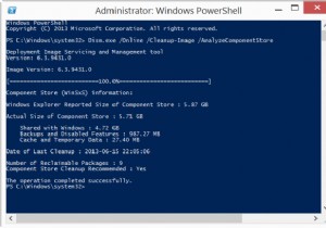 विंडोज 11/10 में विंडोज कंपोनेंट स्टोर या विनएसएक्सएस का विश्लेषण करें 
