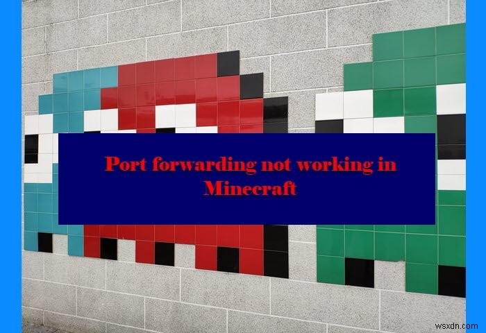 पोर्ट अग्रेषण Windows 11/10 . में Minecraft में काम नहीं कर रहा है 